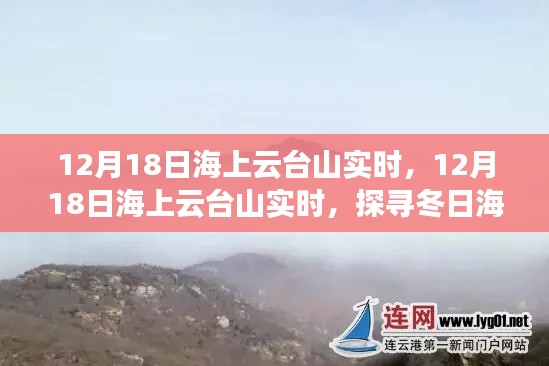 探寻冬日海上云台山奇景的魅力实时报道