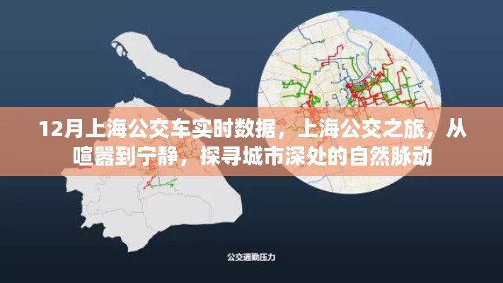 上海公交实时数据之旅,探寻城市深处的自然脉动