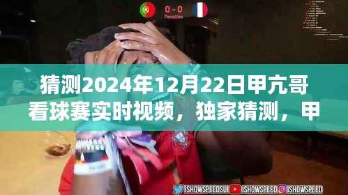 独家预测,甲亢哥2024年世界杯看球赛实况直播,激动人心的夜晚回顾
