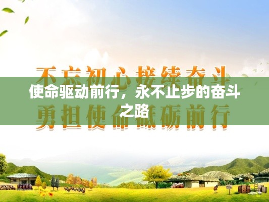 使命驱动前行,永不止步的奋斗之路