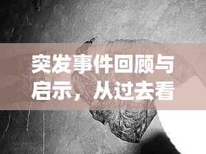 突发事件回顾与启示,从过去看未来,深度解析2016年突发事件