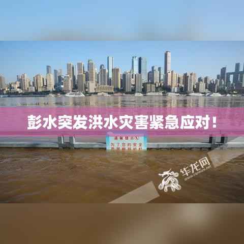 彭水突发洪水灾害紧急应对!