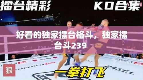 好看的独家擂台格斗,独家擂台斗239