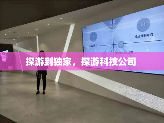 探游到独家,探游科技公司