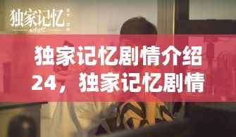 独家记忆剧情介绍24，独家记忆剧情介绍 