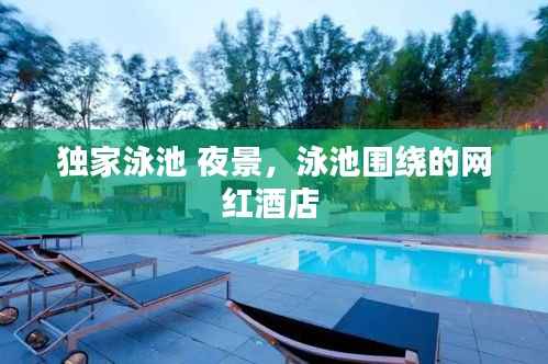 独家泳池 夜景,泳池围绕的网红酒店