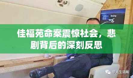 佳福苑命案震惊社会,悲剧背后的深刻反思