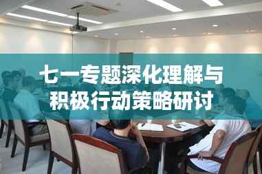 七一专题深化理解与积极行动策略研讨