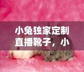 小兔独家定制直播靴子，小兔兔鞋子 