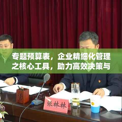 专题预算表,企业精细化管理之核心工具,助力高效决策与资源分配!