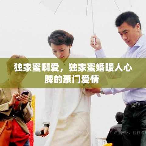 独家蜜啊爱,独家蜜婚暖人心脾的豪门爱情