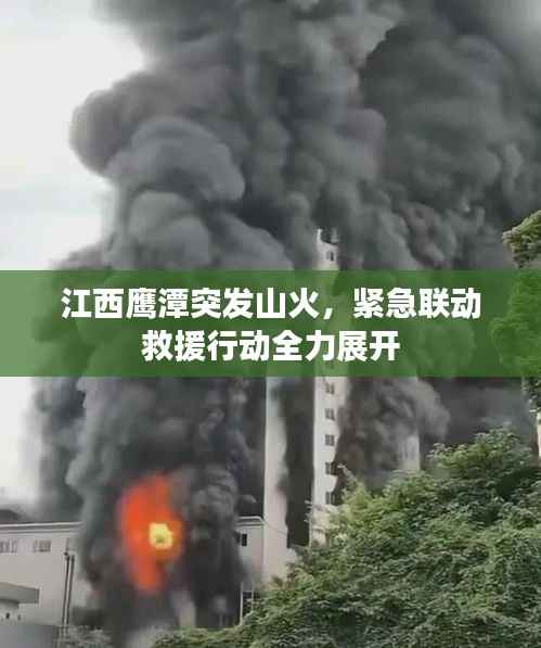 江西鹰潭突发山火,紧急联动救援行动全力展开