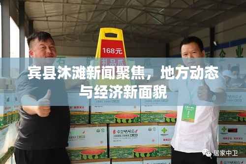 宾县沐滩新闻聚焦,地方动态与经济新面貌