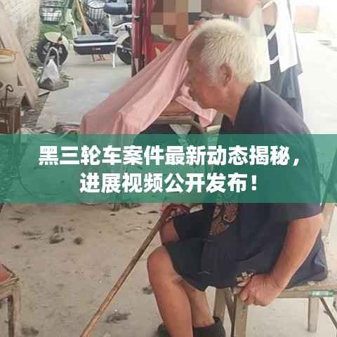 黑三轮车案件最新动态揭秘,进展视频公开发布!
