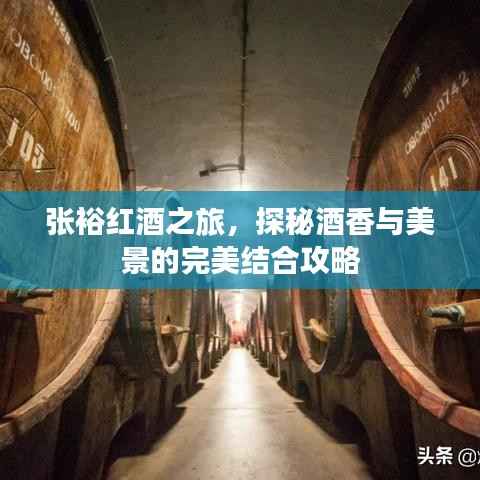 张裕红酒之旅,探秘酒香与美景的完美结合攻略