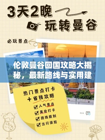 不飞则已 第3页