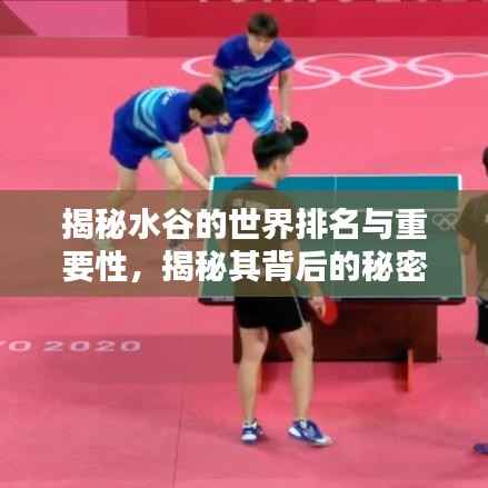 揭秘水谷的世界排名与重要性,揭秘其背后的秘密!