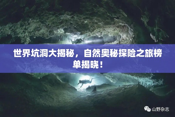 观往知来 第3页