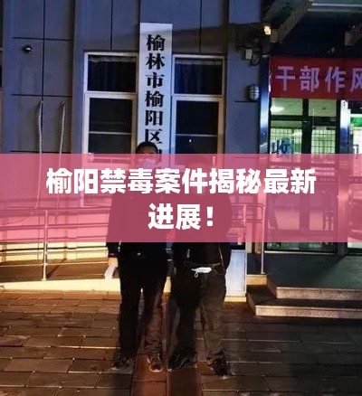 榆阳禁毒案件揭秘最新进展!