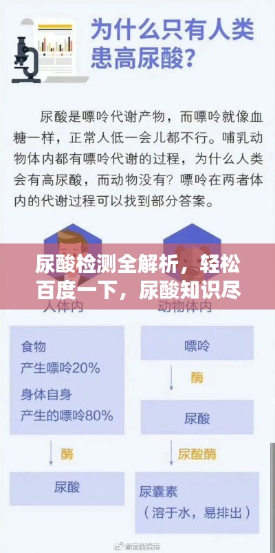 尿酸检测全解析,轻松百度一下,尿酸知识尽掌握