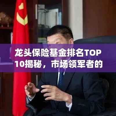 龙头保险基金排名TOP10揭秘，市场领军者的实力解读