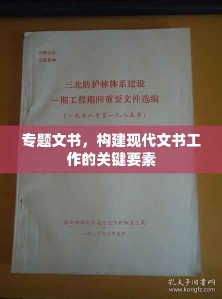 专题文书,构建现代文书工作的关键要素