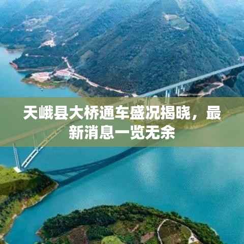 天峨县大桥通车盛况揭晓,最新消息一览无余