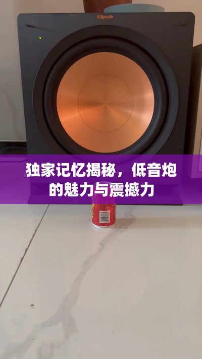 独家记忆揭秘,低音炮的魅力与震撼力