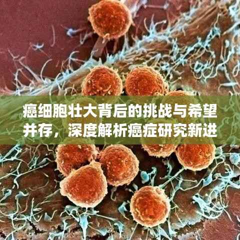 癌细胞壮大背后的挑战与希望并存,深度解析癌症研究新进展