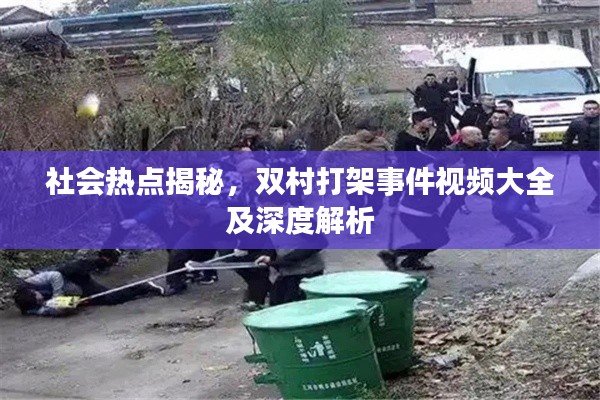 社会热点揭秘,双村打架事件视频大全及深度解析