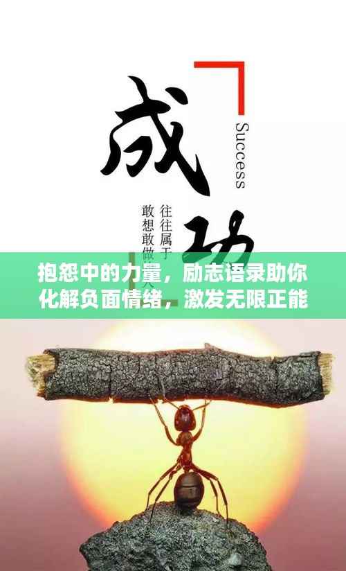 抱怨中的力量,励志语录助你化解负面情绪,激发无限正能量