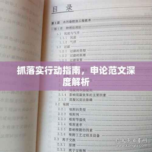 抓落实行动指南,申论范文深度解析