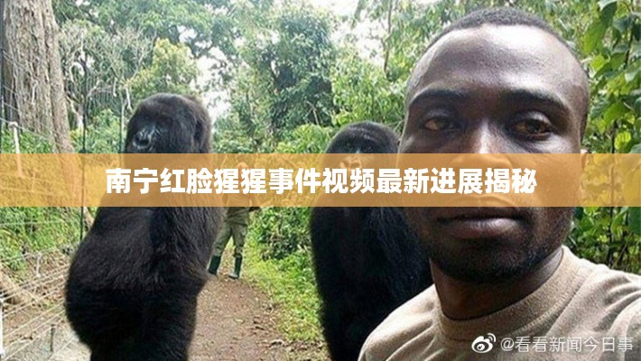 南宁红脸猩猩事件视频最新进展揭秘