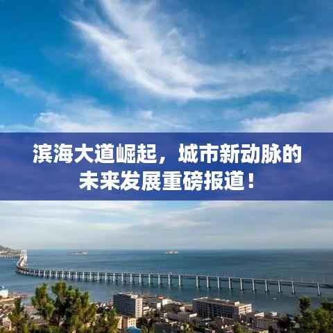 滨海大道崛起,城市新动脉的未来发展重磅报道!