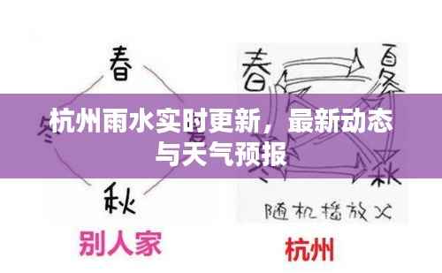 杭州雨水实时更新,最新动态与天气预报