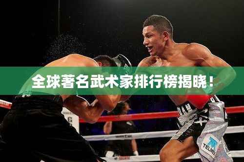 全球著名武术家排行榜揭晓!