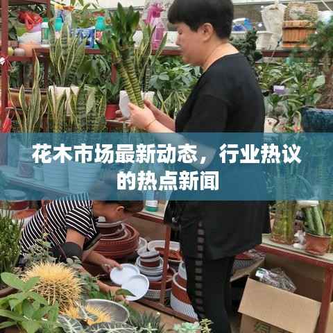 花木市场最新动态,行业热议的热点新闻