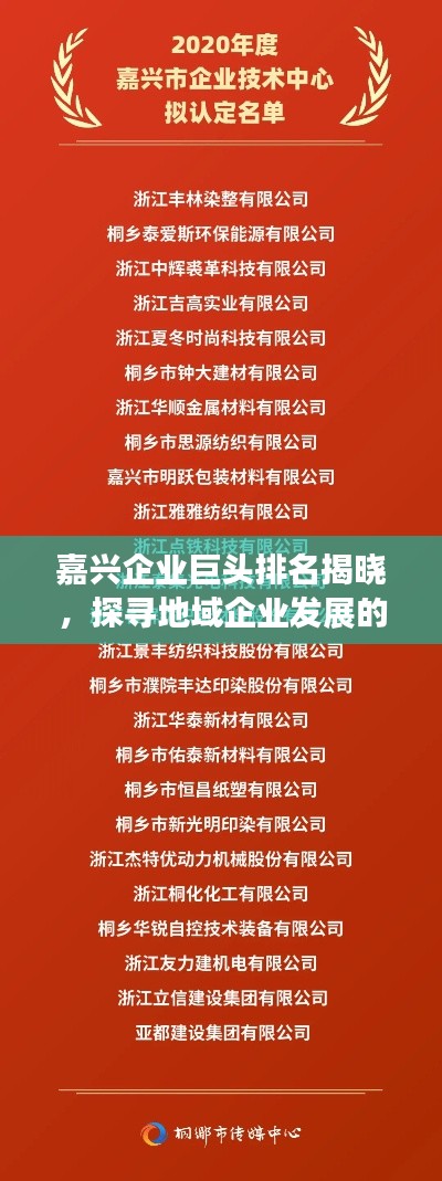 嘉兴企业巨头排名揭晓,探寻地域企业发展的领军者
