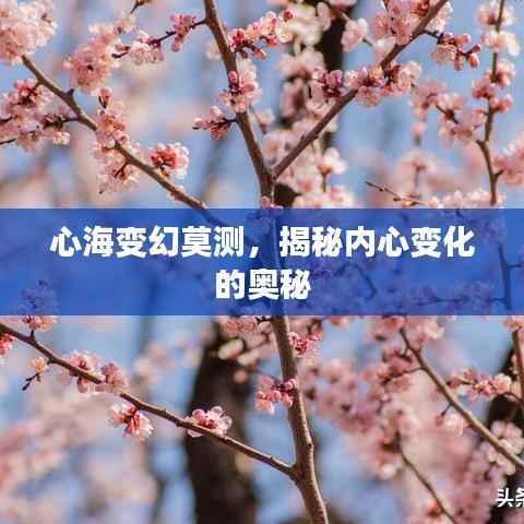 天潢贵胄 第2页