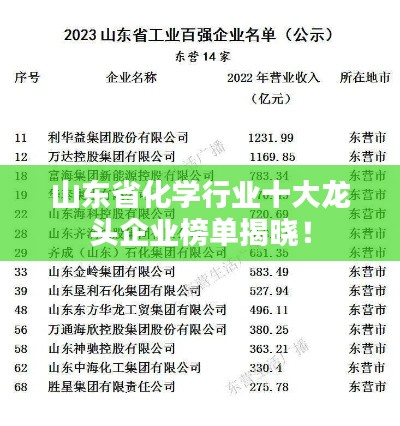 山东省化学行业十大龙头企业榜单揭晓!