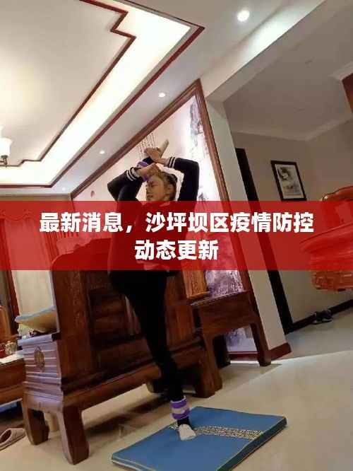 最新消息，沙坪坝区疫情防控动态更新