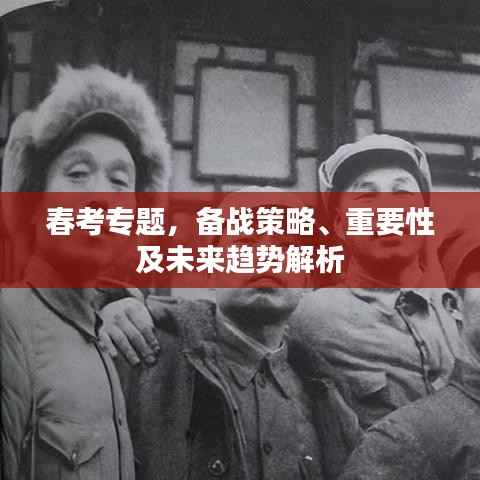春考专题，备战策略、重要性及未来趋势解析