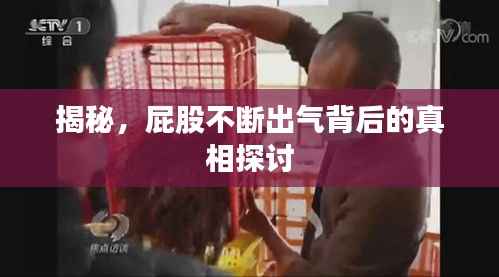 揭秘,屁股不断出气背后的真相探讨