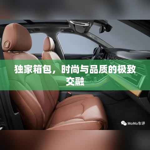独家箱包,时尚与品质的极致交融
