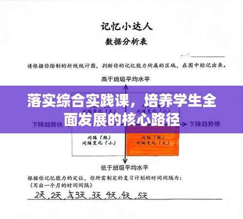 落实综合实践课,培养学生全面发展的核心路径