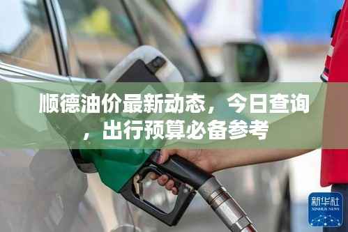 顺德油价最新动态,今日查询,出行预算必备参考