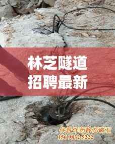 林芝隧道招聘最新动态一网打尽,职位信息及相关信息解析