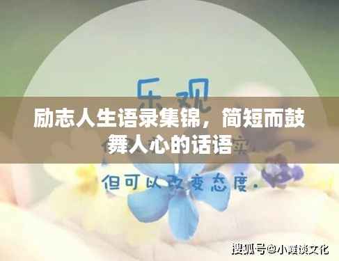 事必躬亲 第2页