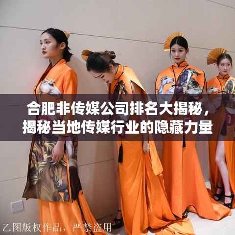 合肥非传媒公司排名大揭秘,揭秘当地传媒行业的隐藏力量