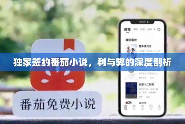 独家签约番茄小说,利与弊的深度剖析